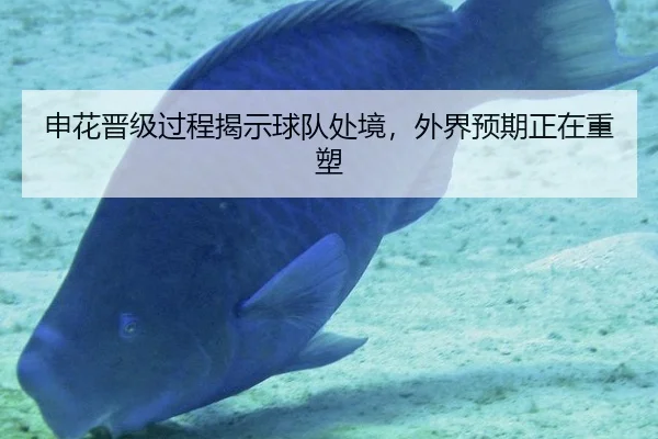 申花晋级过程揭示球队处境，外界预期正在重塑